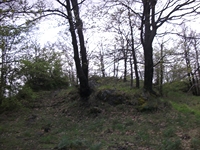 rra delle Concazze-201100508 163